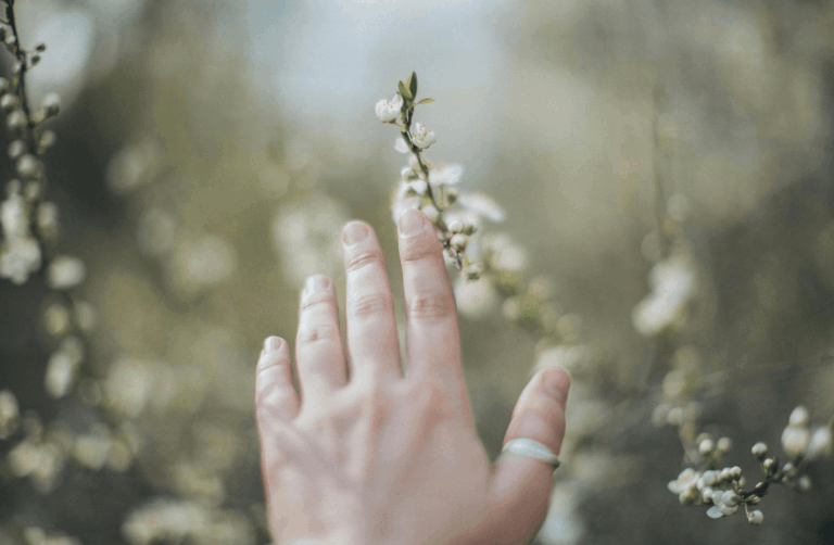 Why Your Soul Chose This Life (and What It’s Here to Learn)